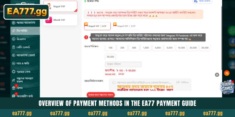 Deposit Guide: প্লেয়ারদের জন্য EA77-এ bKash এবং Nagad 3 Overview of payment methods in the EA77 Payment Guide