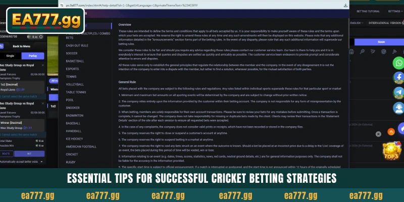 EA77-এর সাথে IPL এবং BPL ম্যাচগুলোতে Cricket Betting মাস্টার করুন 6 Essential tips for successful Cricket Betting strategies