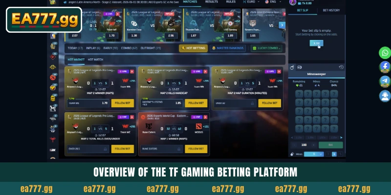 EA77 Sportsbook-এর সাথে TF Gaming Esports Wagering মাস্টার করুন 3 Overview of the TF Gaming betting platform